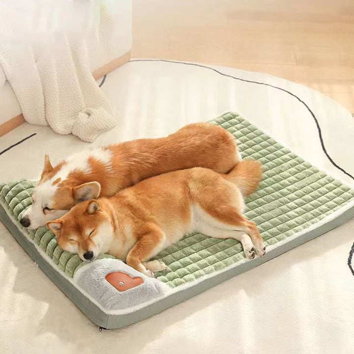 Zwei schlafende Hunde auf grünem Hundebett, gemütlich, weich, Haustierbedarf, Wohnzimmer.