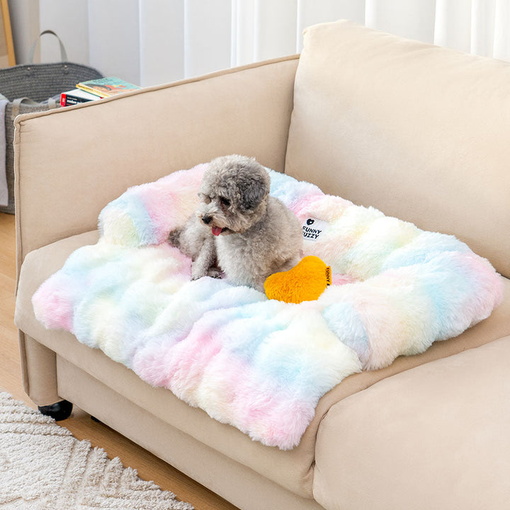 Kleiner grauer Hund auf pastellfarbenem, flauschigem Hundebett auf beigem Sofa.