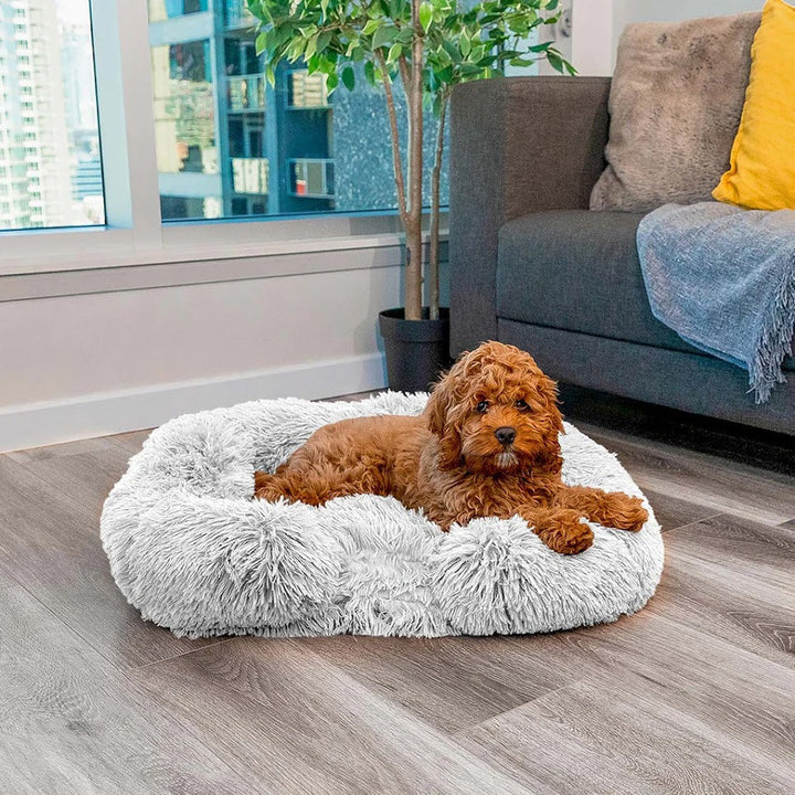 Brauner Hund auf grauem, flauschigem Hundebett im Wohnzimmer, neben Sofa und Pflanze.