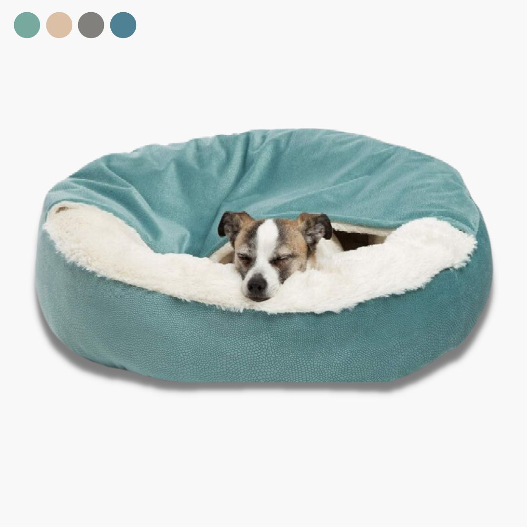 Kleiner Hund schläft in einem runden, türkisfarbenen Hundebett aus weichem Plüsch.