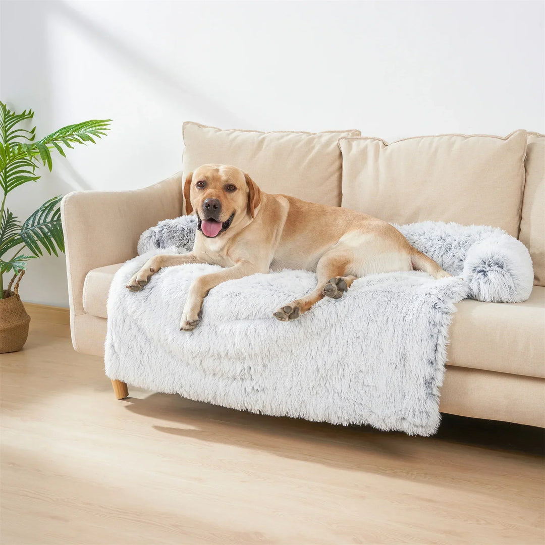 Hund auf beigem Sofa mit weißer, flauschiger Decke, Wohnzimmer, gemütlich, Haustierfreundlich.