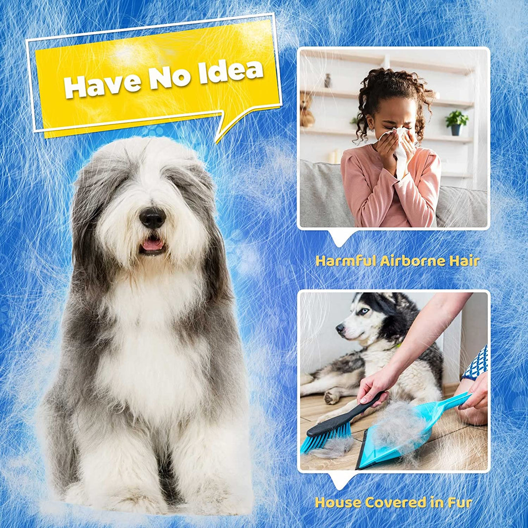 Hund mit langem Fell, Allergie, Tierhaare, Reinigung, blaue Bürste, Innenraum, Frau niest.