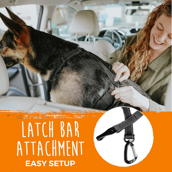 Frau befestigt schwarzen Hundegurt im Auto, Sicherheitsgurt für Hunde, einfache Installation.