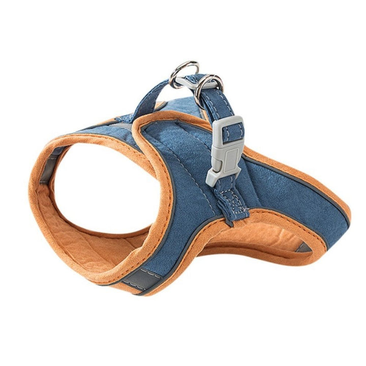 Blau-orange Hundegeschirr, verstellbar, gepolstert, robustes Material, für kleine bis mittlere Hunde.