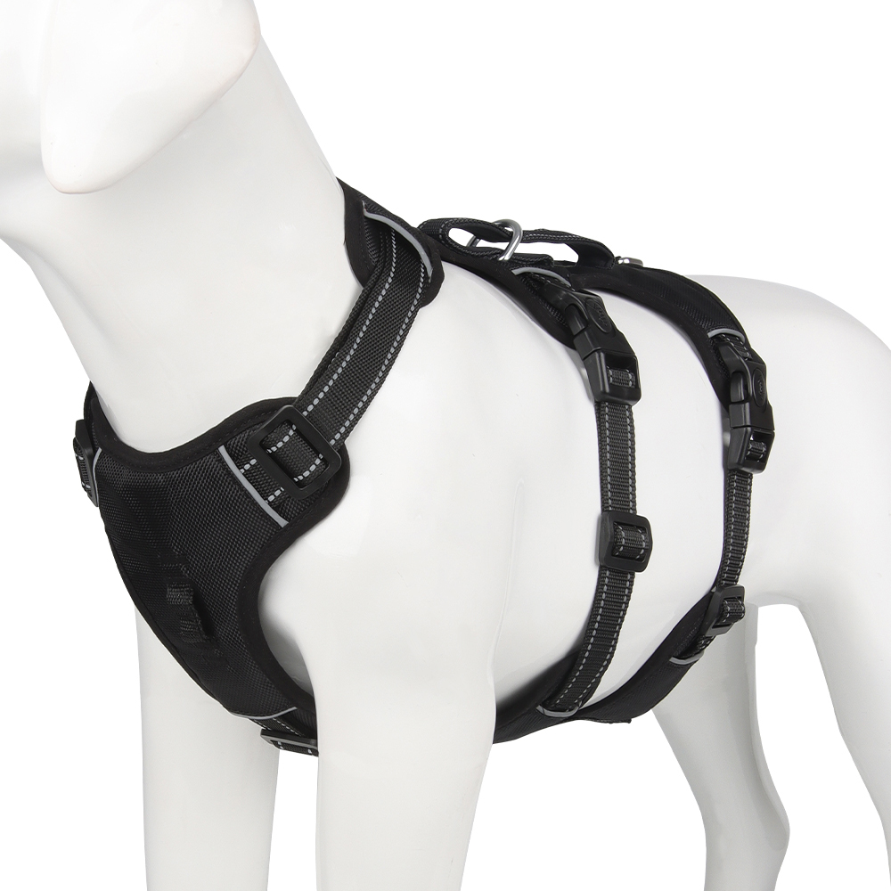 Schwarzes Hundegeschirr, verstellbar, robust, mit Schnallen, für mittelgroße Hunde.
