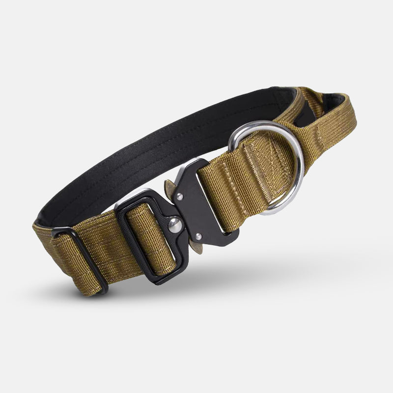 Taktischer Hundehalsband, olivgrün, Nylon, Metallverschluss, verstellbar, robust.