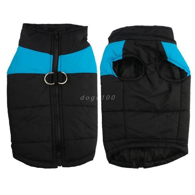 Schwarze Hundejacke mit blauem Streifen, Reißverschluss, D-Ring, wasserabweisend, warm.