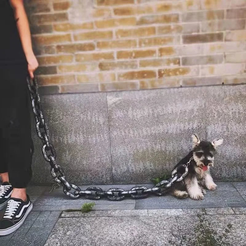 Hund an großer Kettenglieder-Leine, grauer Schnauzer, Ziegelwand, Gehweg, urbaner Hintergrund.