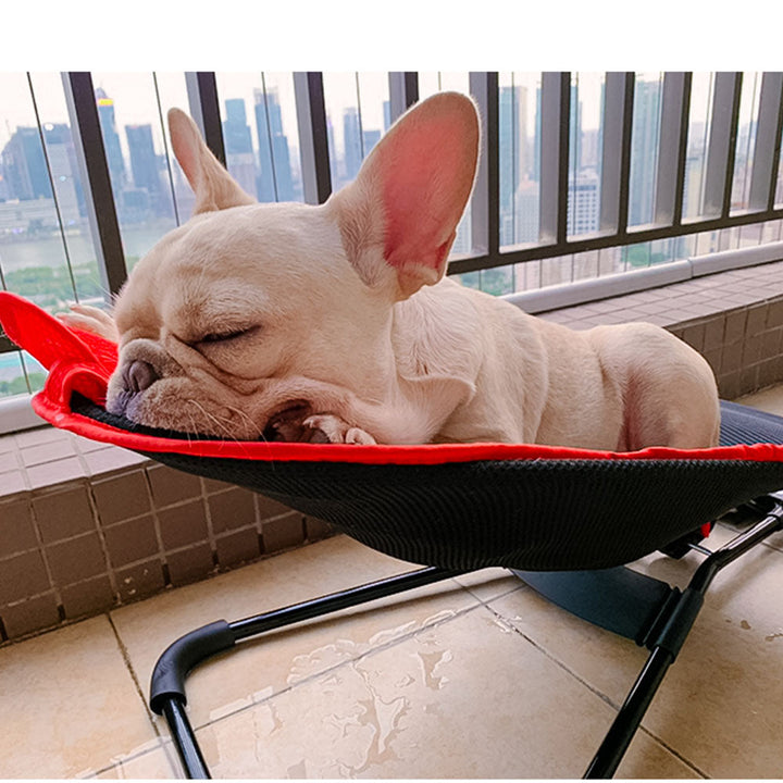 Französische Bulldogge schläft auf rotem Hundebett auf Balkon, Stadtblick im Hintergrund.