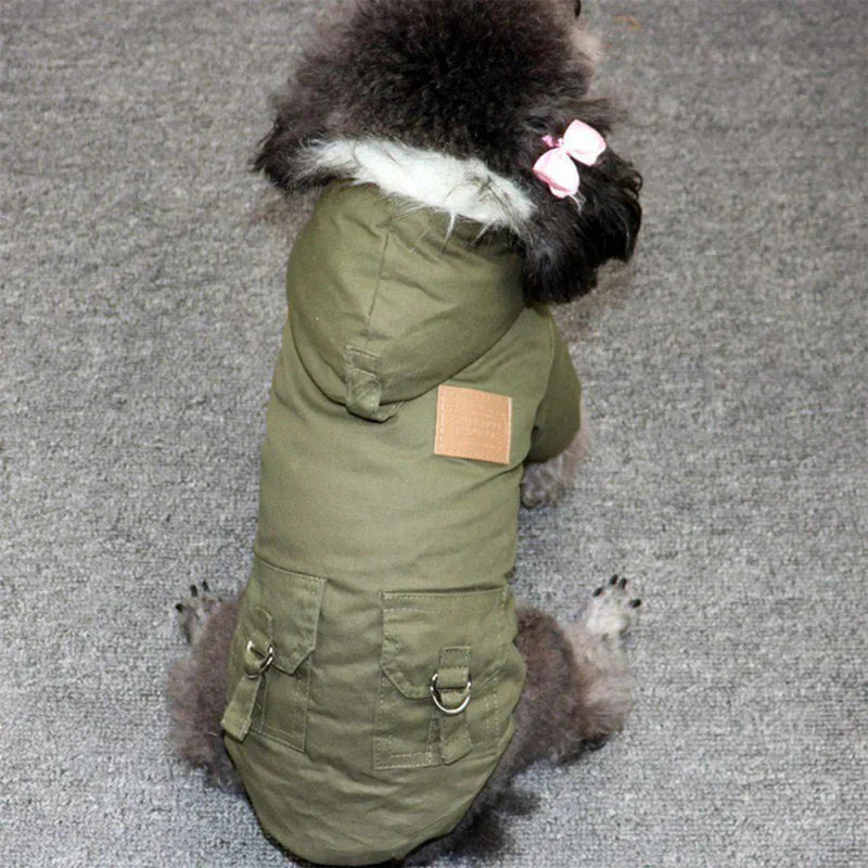 Hund in olivgrünem Wintermantel mit Kapuze und Taschen, warmes Hundebekleidungsstück.