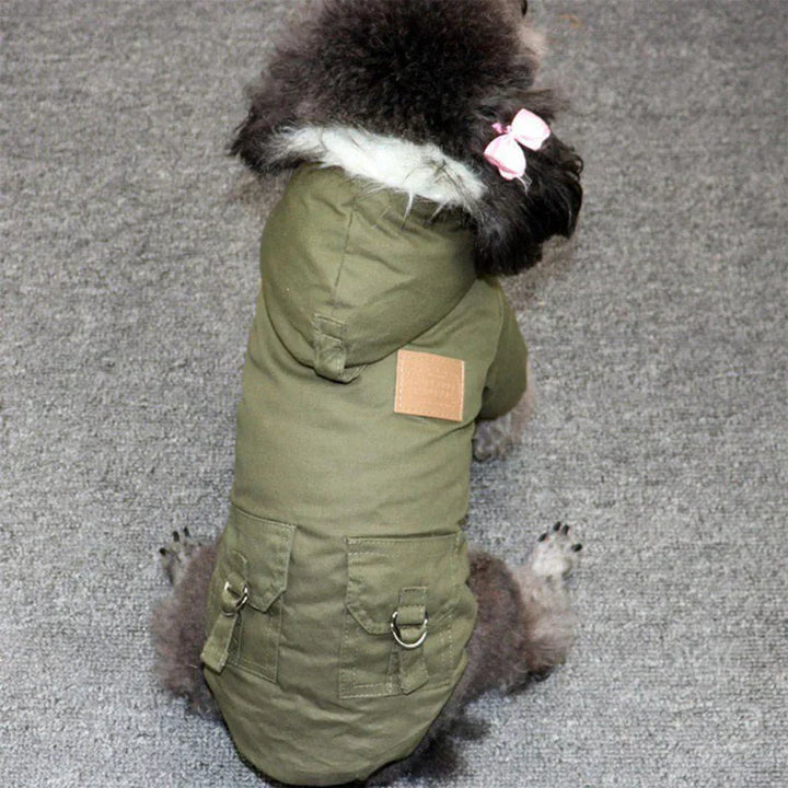 Hund in olivgrünem Wintermantel mit Kapuze und Taschen, warmes Hundebekleidungsstück.