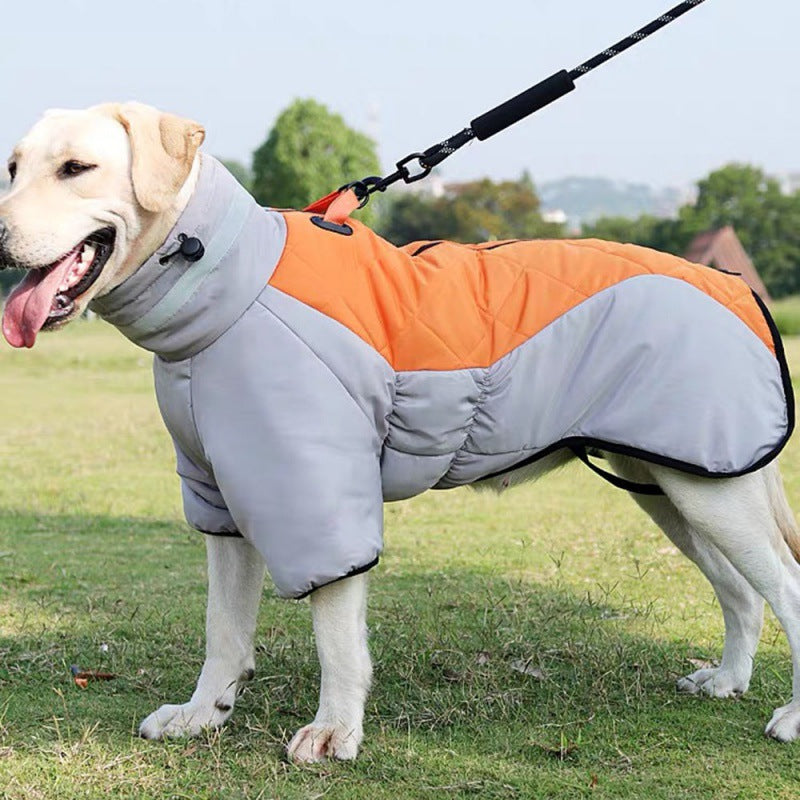 Labrador im orange-grauen Hundemantel auf Wiese, wasserdicht, warm, Outdoor-Hundebekleidung.
