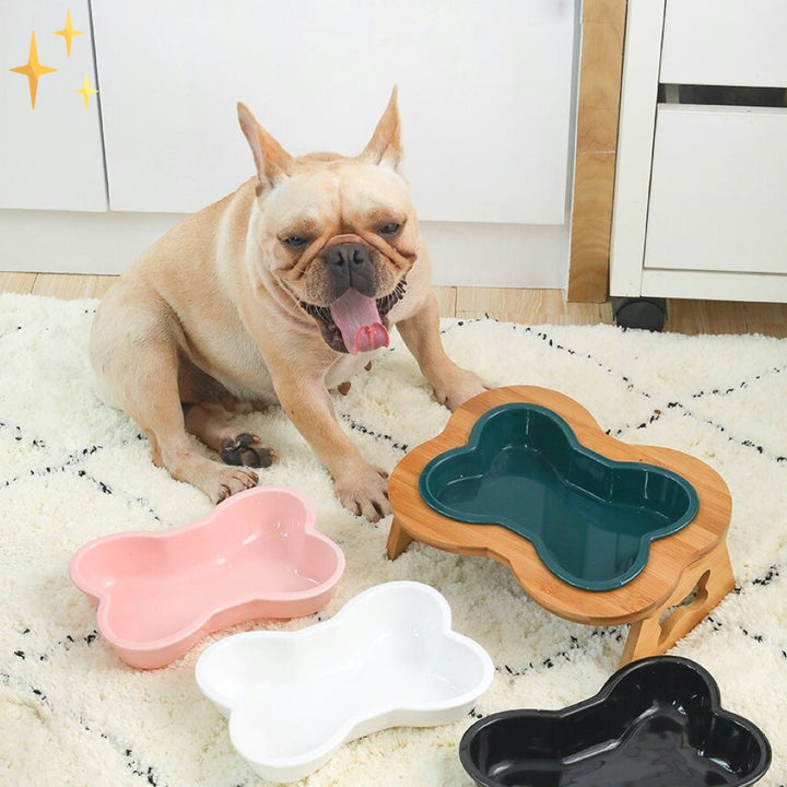 Französische Bulldogge mit bunten Hundenäpfen in Knochenform auf Teppich.