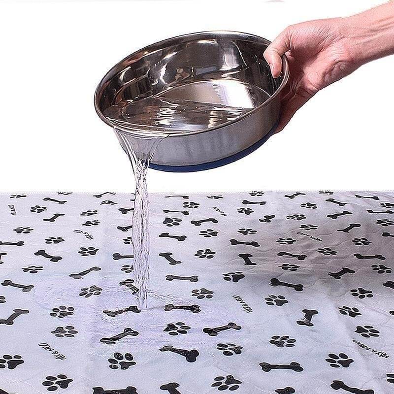 Hand gießt Wasser auf wasserdichte Hundematte mit Pfoten- und Knochenmuster.