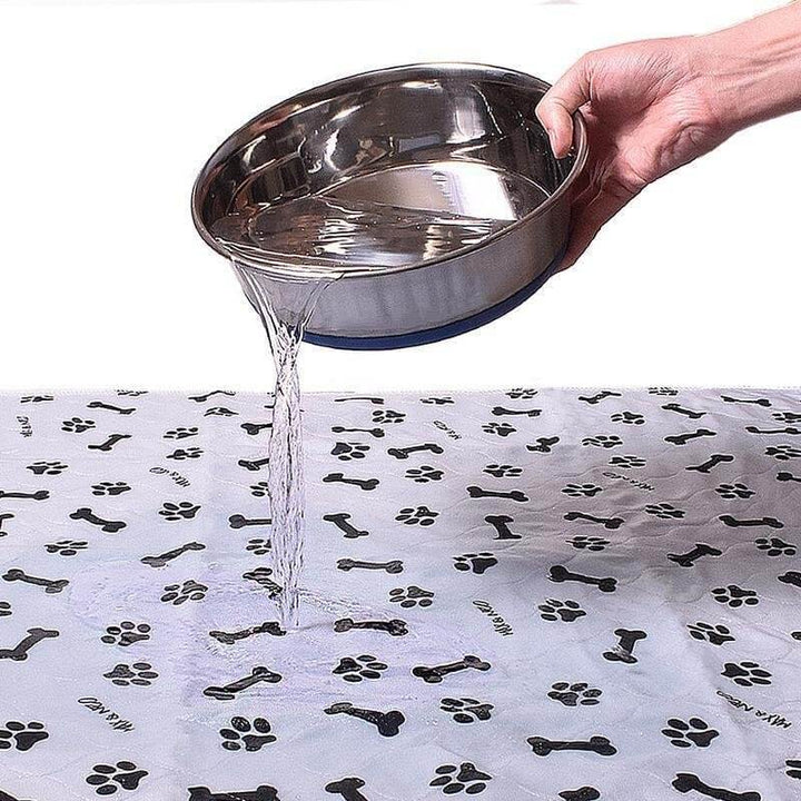 Hand gießt Wasser auf wasserdichte Hundematte mit Pfoten- und Knochenmuster.