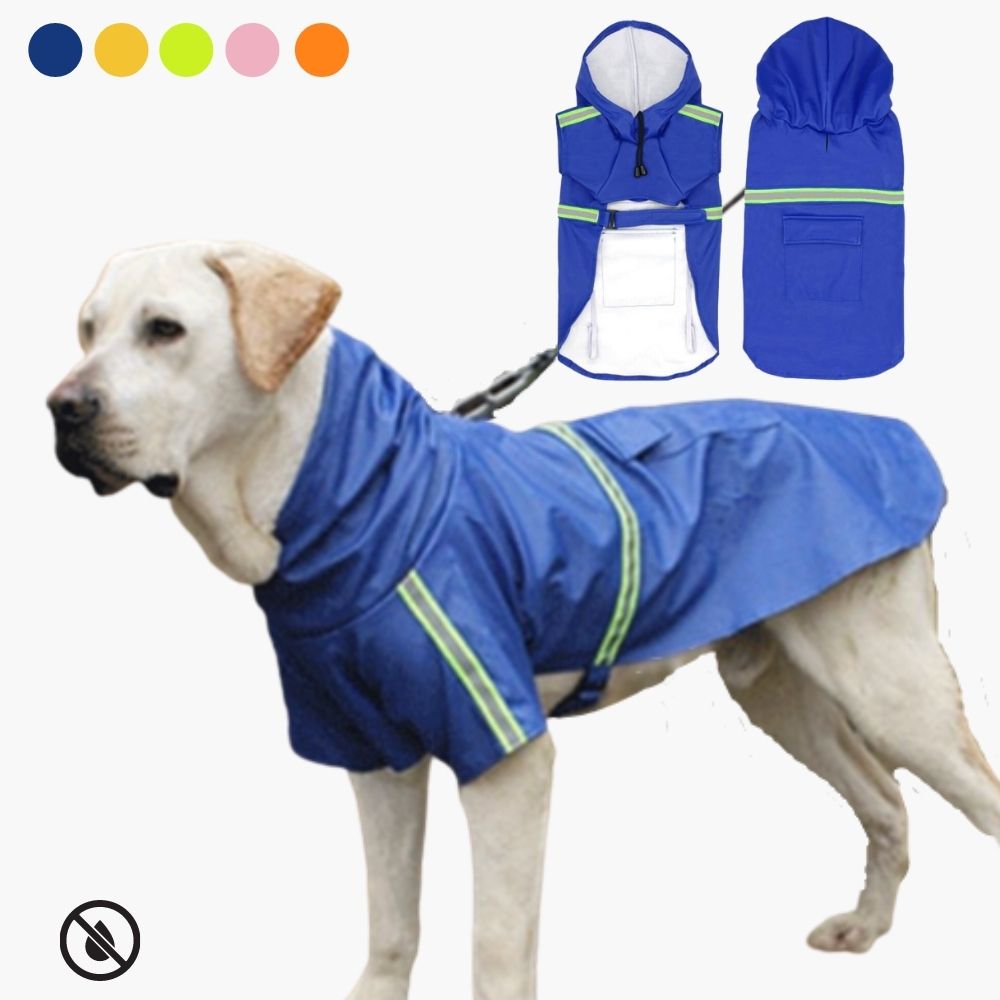 Hunderegenmantel Blau, wasserdicht, reflektierend, Kapuze, für große Hunde, Outdoor-Bekleidung