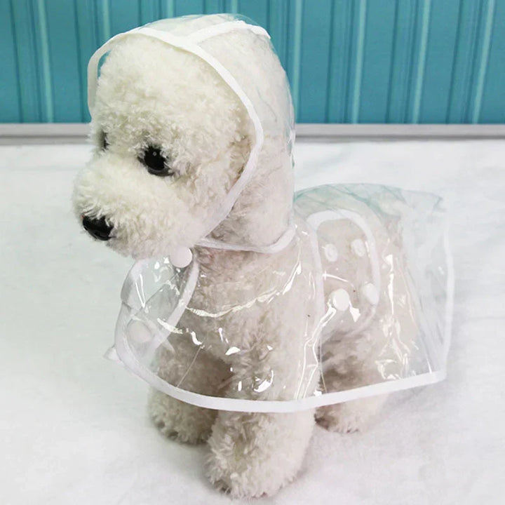 Weißer Hund mit transparentem Regenmantel, wasserdicht, Haustierbekleidung, niedlich.