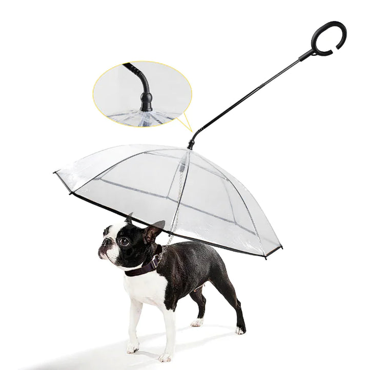 Schwarzer Hund mit transparentem Regenschirm, Hundeschirm, Haustierzubehör, wetterfest.