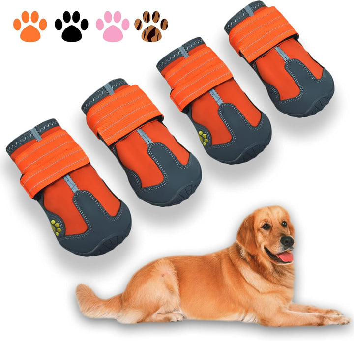 Vier orange-graue Hundeschuhe mit Klettverschluss, rutschfest, neben Golden Retriever.