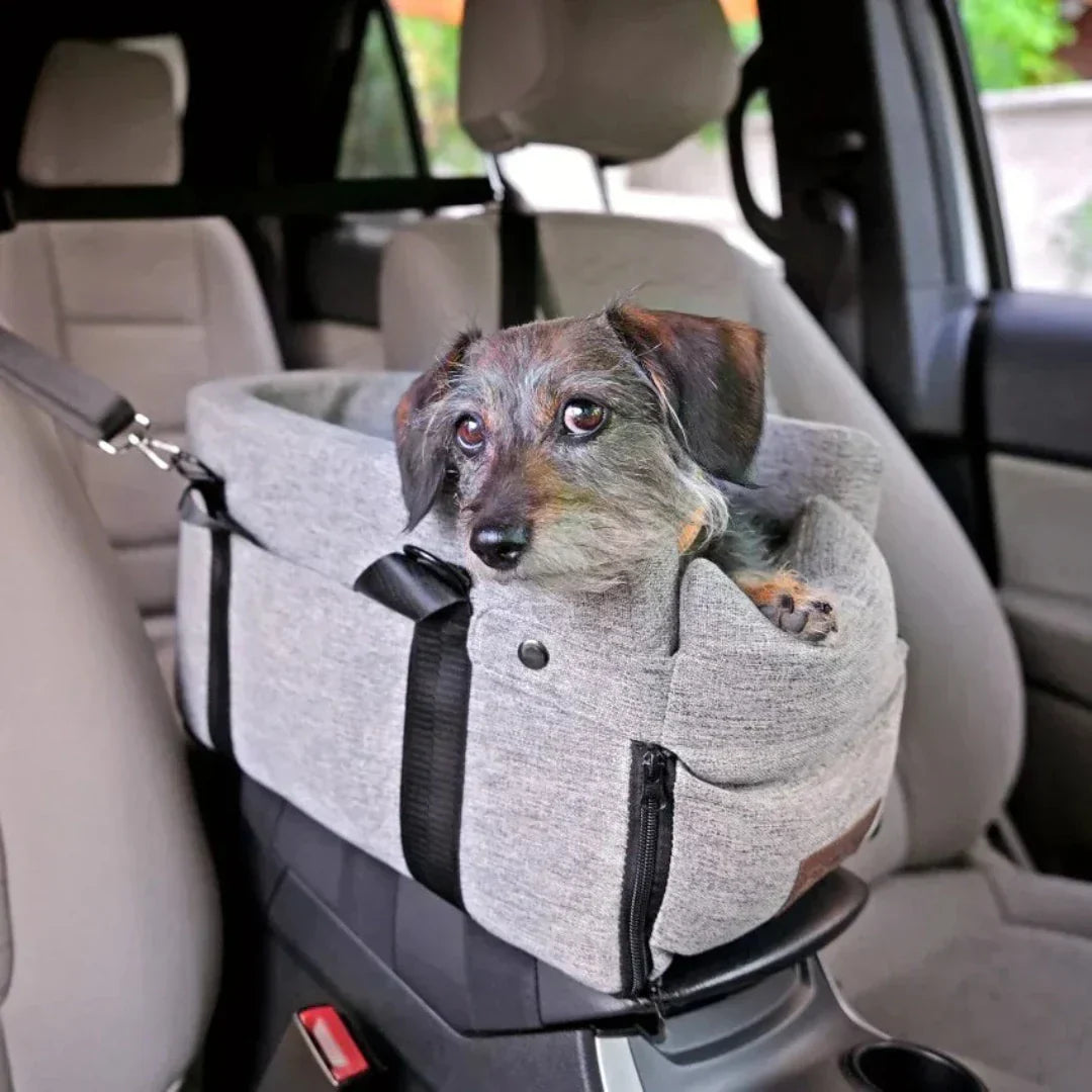 Hundesitz Auto, grau, mit Sicherheitsgurt, für kleine Hunde, bequem, waschbar, Reisen.
