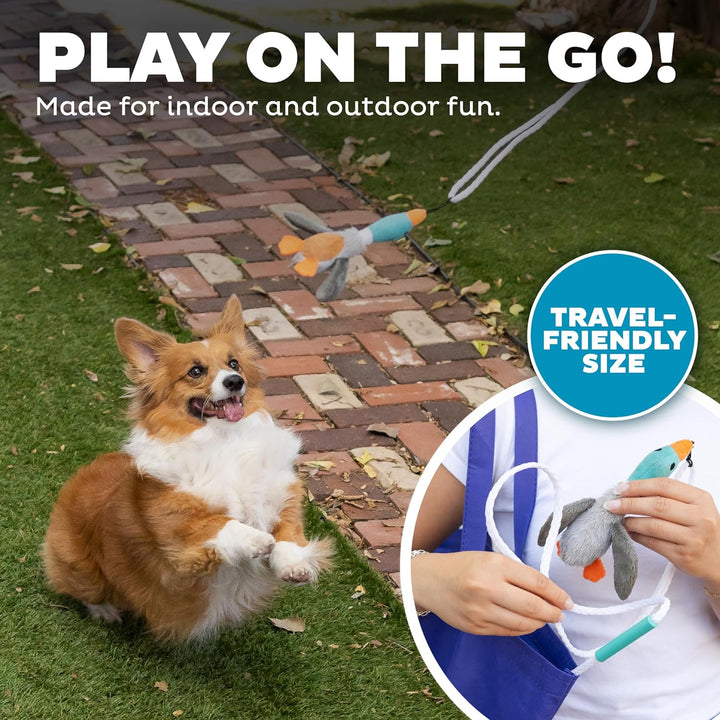 Corgi spielt mit Plüschspielzeug im Garten, ideal für drinnen und draußen, reisetauglich.