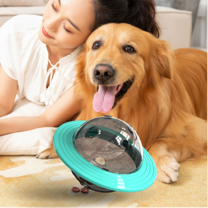 Frau mit Golden Retriever und interaktivem Hundespielzeug, UFO-Form, türkis, Wohnzimmer.