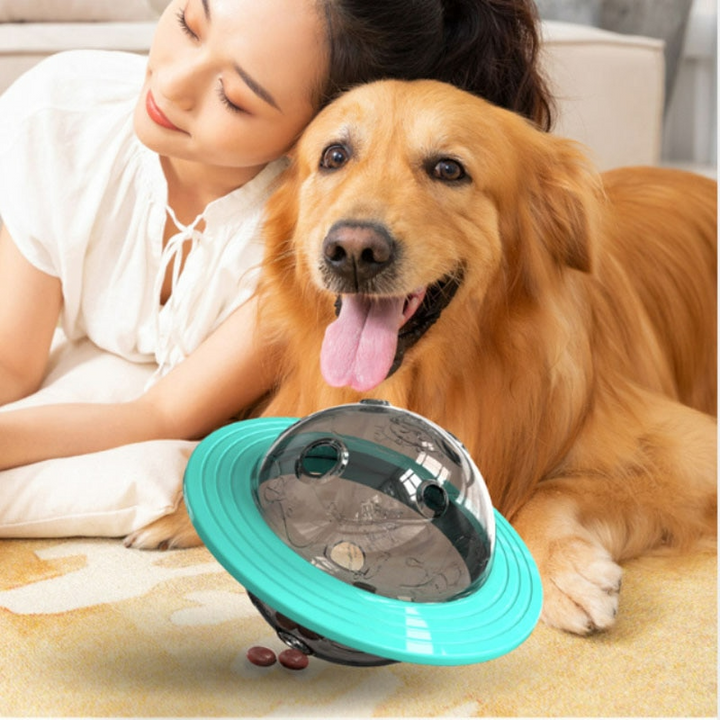 Frau mit Golden Retriever und interaktivem Hundespielzeug, UFO-Form, türkis, Wohnzimmer.