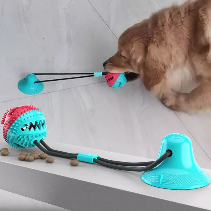 Welpen-Spielzeug mit Saugnapf, interaktiver Ball, blau-rot, Hundetraining, Kauspielzeug.