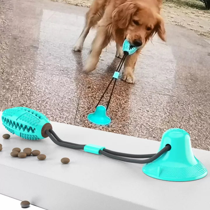 Hund spielt mit blauem interaktivem Hundespielzeug, Saugnapf, Kauspielzeug, robust, langlebig.