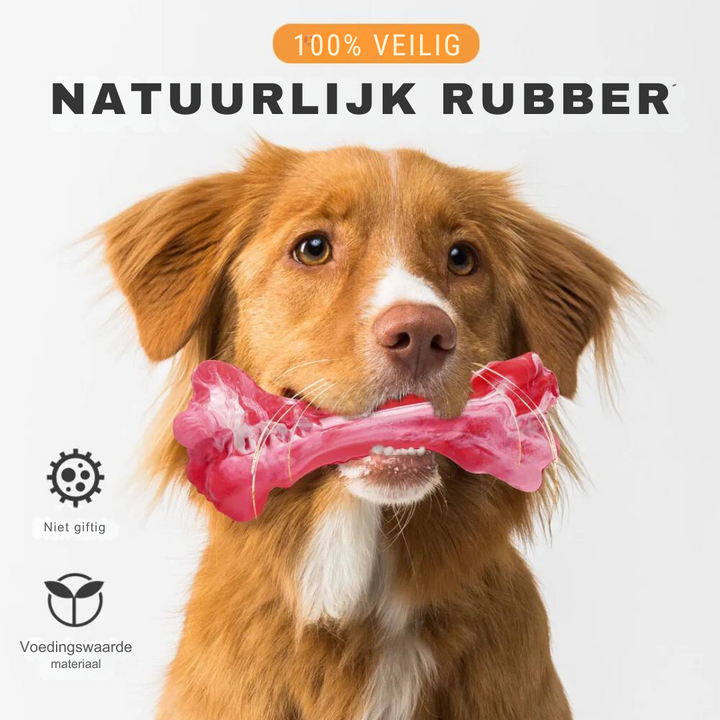 Hund mit rotem Kauknochen aus natürlichem Gummi, ungiftig, sicher, langlebig.