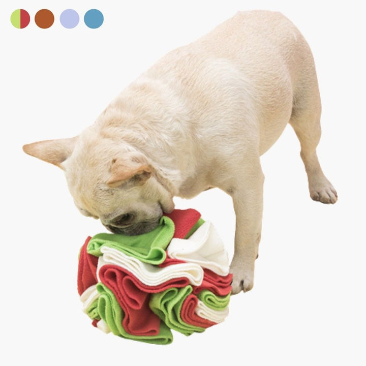 Beigefarbener Hund spielt mit buntem Schnüffelteppich-Ball aus Stoff.