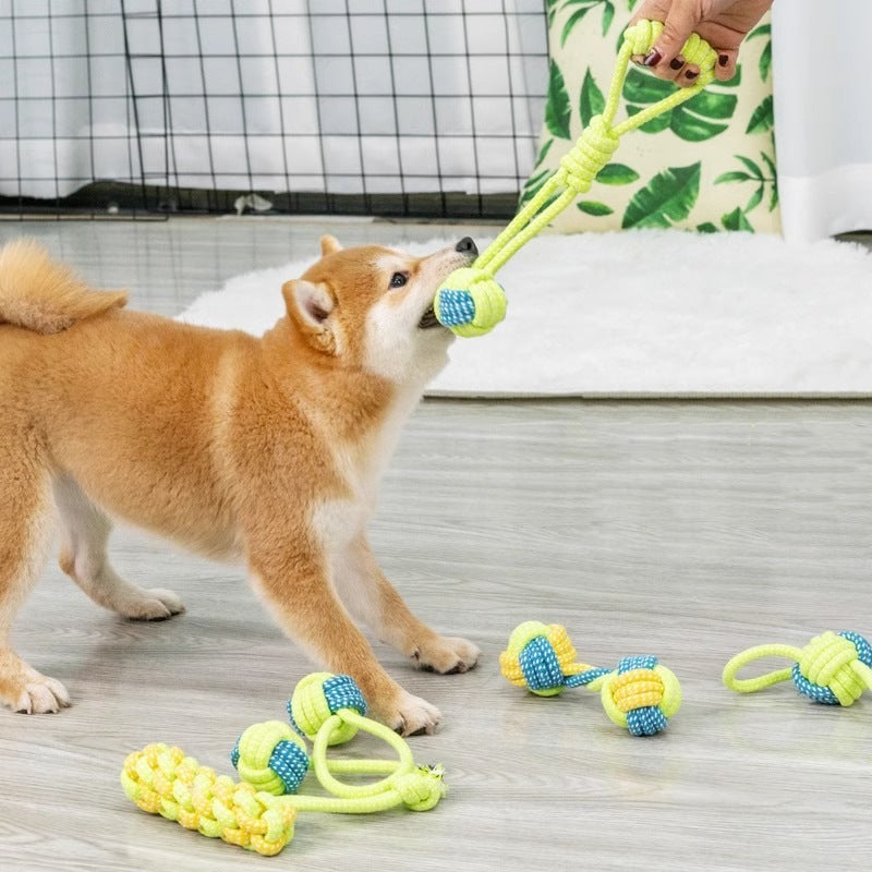 Hund spielt mit gelbem und blauem Kauspielzeug aus Seil auf Holzboden.