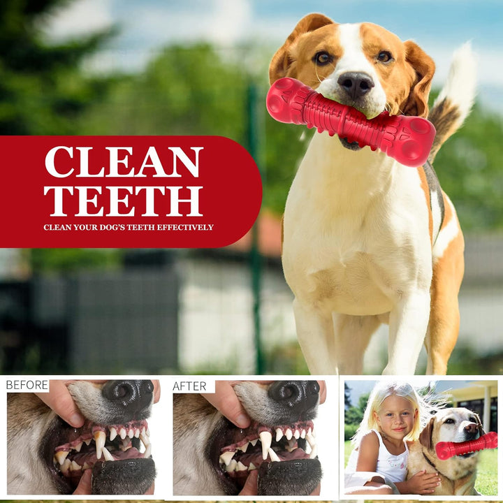 Beagle mit rotem Hundekauspielzeug, Zahnreinigung, Outdoor, gesunde Zähne, Haustierpflege.