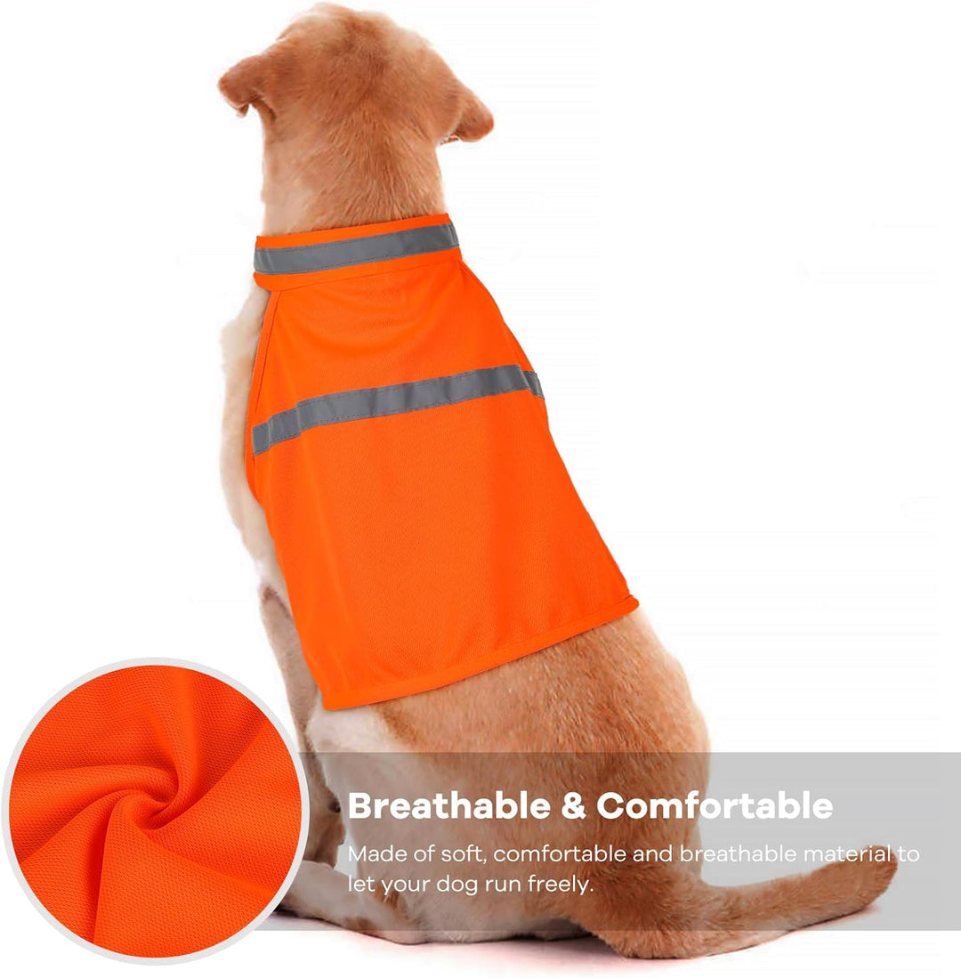 Hund mit orangefarbener reflektierender Sicherheitsweste, atmungsaktiv und bequem.