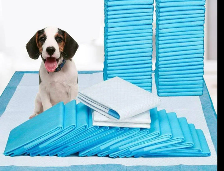 Hundewelpe auf blauen Einweg-Welpentrainingspads, stapelweise angeordnet, saugfähig.