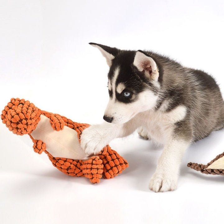 Siberian Husky Welpe spielt mit orangefarbenem Hundespielzeug auf weißem Hintergrund.
