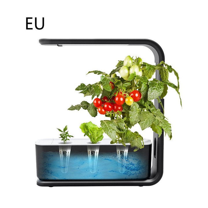 Hydroponisches Pflanzsystem mit LED-Licht, Tomatenpflanzen, schwarz, EU-Version.