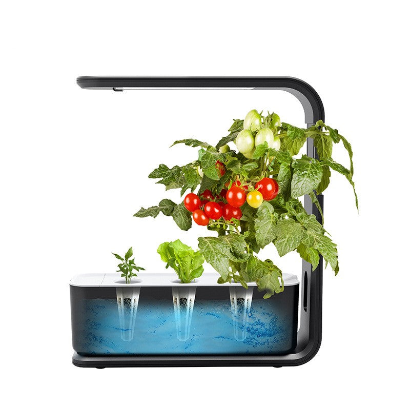 Hydroponisches Pflanzsystem mit LED-Licht, Tomatenpflanzen, schwarz-weißes Design.