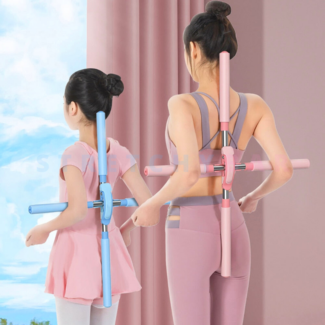Zwei Personen mit rosa und blauem Pilates-Stick, Fitness, Heimtraining, Yoga-Übung.