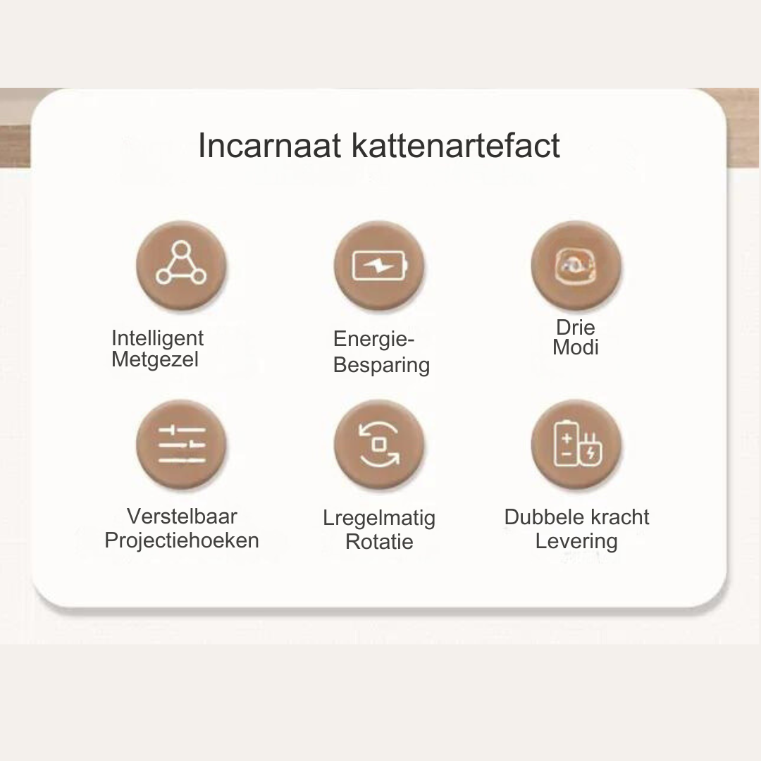 Sechs Symbole auf weißem Hintergrund, Funktionen eines Katzenartefakts, niederländische Beschriftung.