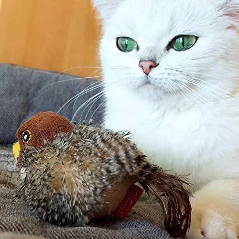 Weiße Katze mit grünen Augen neben braunem Plüschvogel auf grauem Sofa.