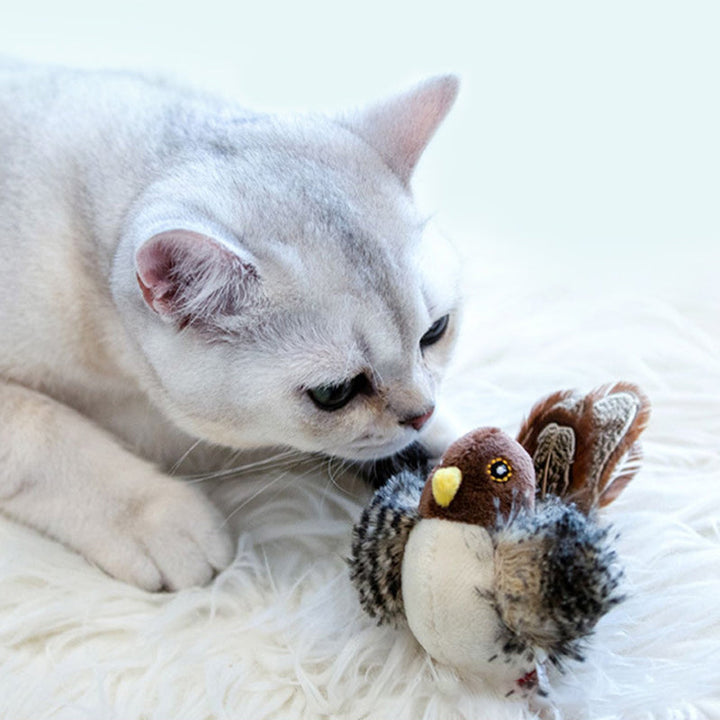 Weiße Katze mit Plüschvogelspielzeug auf weißem Teppich, Haustier, Spielzeug, Katze, Vogel.