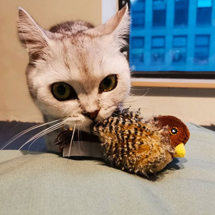 Katze mit Spielzeugvogel im Maul, graues Fell, gelbe Augen, Fenster im Hintergrund.