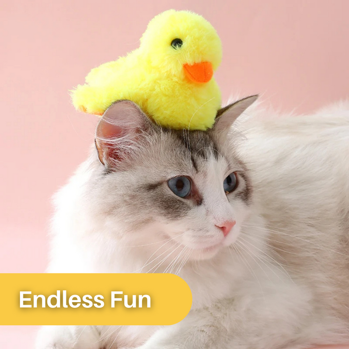 Plüschente auf Katze, gelb, Spielzeug, Haustier, Fotografie, rosa Hintergrund, Spaß, niedlich