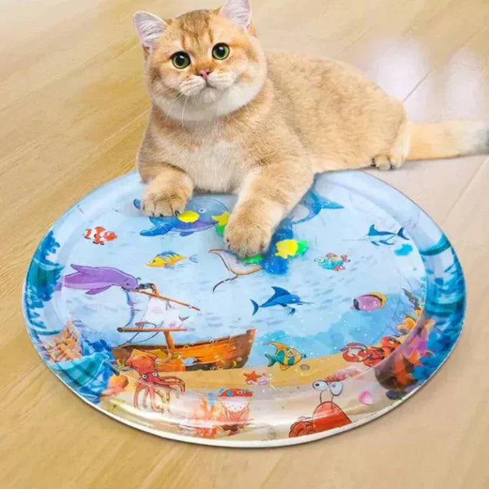 Katze auf buntem interaktivem Wasserspielzeug für Haustiere auf Holzboden.