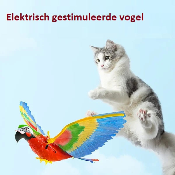 Katze springt nach buntem Spielzeugvogel, blauer Himmel, Haustierunterhaltungsspielzeug.
