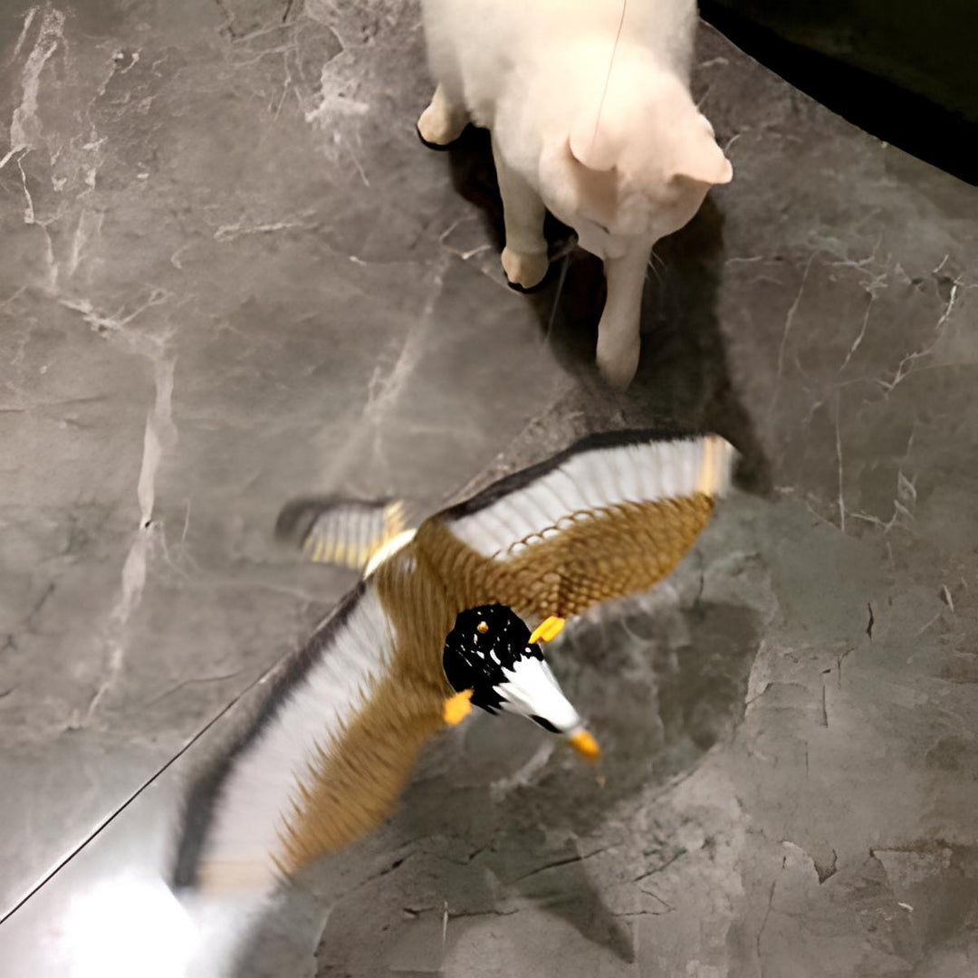 Weiße Katze auf grauem Marmorboden beobachtet fliegende Spielzeugdrohne in Vogeloptik.