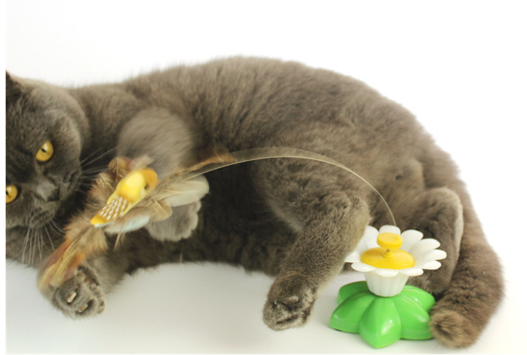Graue Katze spielt mit interaktivem Katzenspielzeug, Federstab, Blume, Unterhaltung.