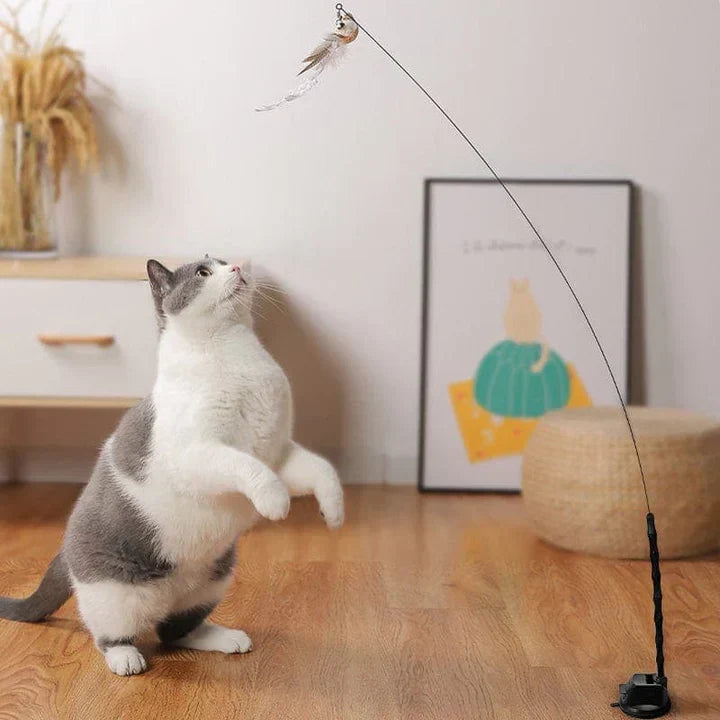 Katze spielt mit interaktivem Katzenspielzeug, Federangel, im Wohnzimmer, Holzboden.