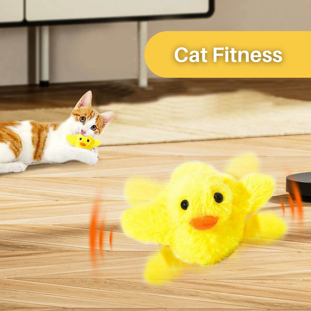 Gelbes Katzenspielzeug Ente, Plüsch, interaktiv, für Katzenfitness und Spielspaß.